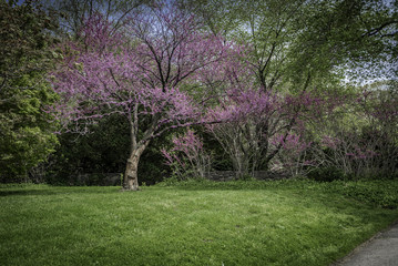 Botanical Garden