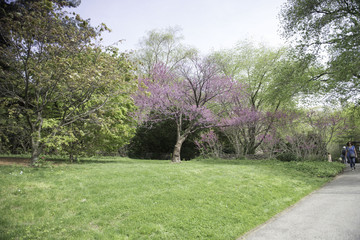 Fototapeta na wymiar Botanical Garden