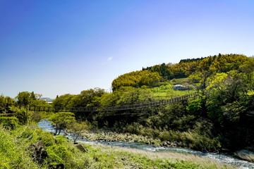 原尻の滝 吊り橋