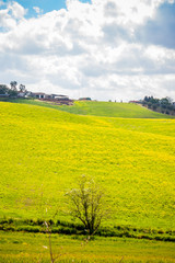 Paysage du Val d'Orcia en Toscane