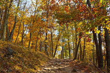 Obraz premium Appalachian trail in autumn in West Virginia, USA. Sun paves the way of a rocky mountain terrain.