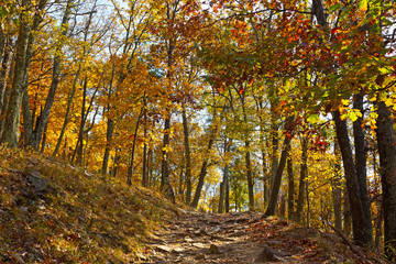 Appalachian trail in autumn in West Virginia, USA. Sun paves the way of a rocky mountain terrain.