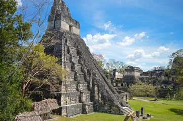 Temple I of the Maya archaeological site in Tikal National Park, Guatemala. Central America