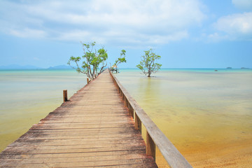 Wooden Piers on Tropical Islands