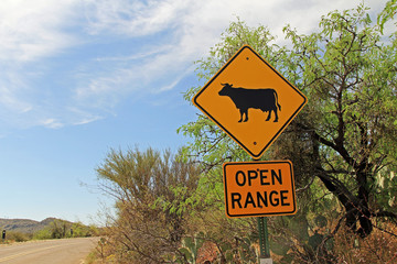Open range cattle crossing warning sign along a road in Arizona. - Powered by Adobe