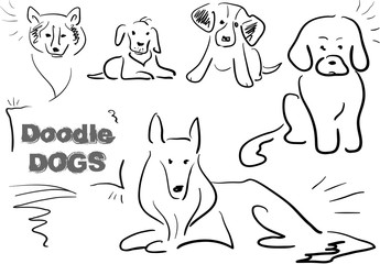 doodle dog 003