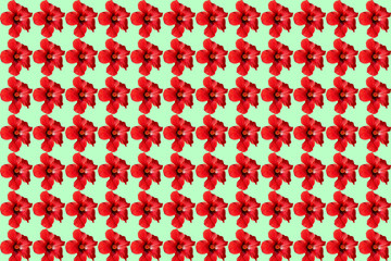 red hibiscus pattern