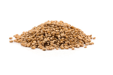 Fototapeta premium Wheat grain on white