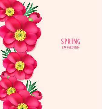 Spring background with pink peony flowers and buds. Floral template for your design. Vector illustration