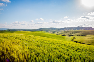 Obraz premium Krajobraz Val d'Orcia w Toskanii o zachodzie słońca