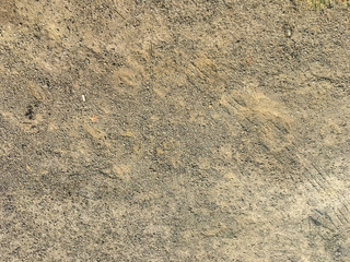 cement floor texture