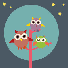 cute owls in the night