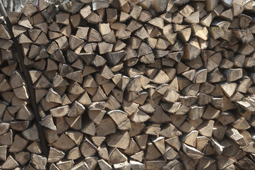 Stack of wood in a forest
