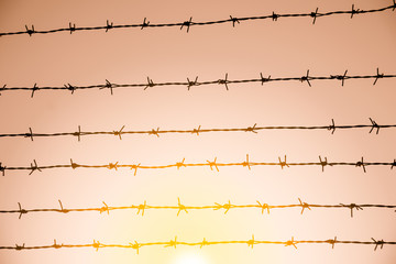 the barbed wire on sky background with sunset