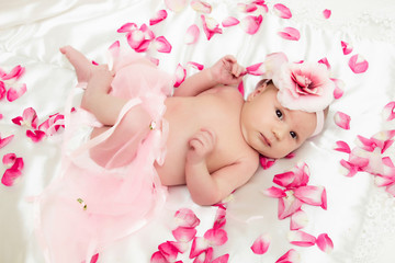 Lovely newborn baby lies in pink rose petals