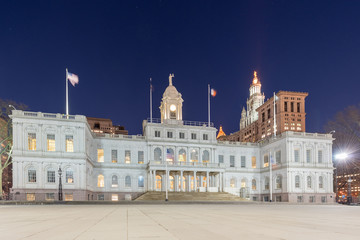 Naklejka premium New York City Hall