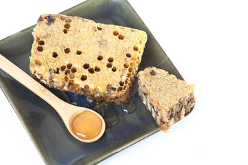 honeycomb on isolate or white background