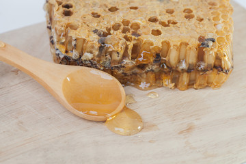 close up honeycomb and honey on  background