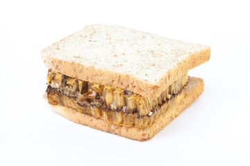 honeycomb on isolate or white background