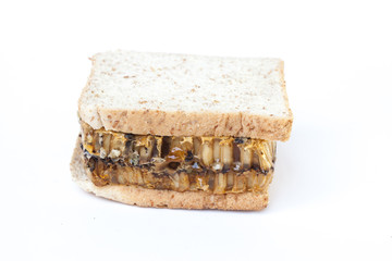 honeycomb on isolate or white background