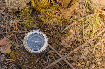 Compass lying on old moss
