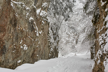 Snowy canyon landscape