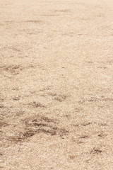 Empty dry lawn field