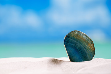 green glass stone on white sand beach,