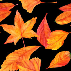 Fototapeta na wymiar Seamless pattern with watercolor autumn leaves on black