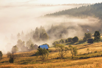 Fototapeta premium Summer sunrise in Bucovina