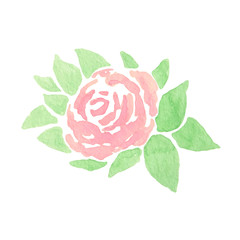 Hand drawn abstract watercolor pink rose with leaves on the white background