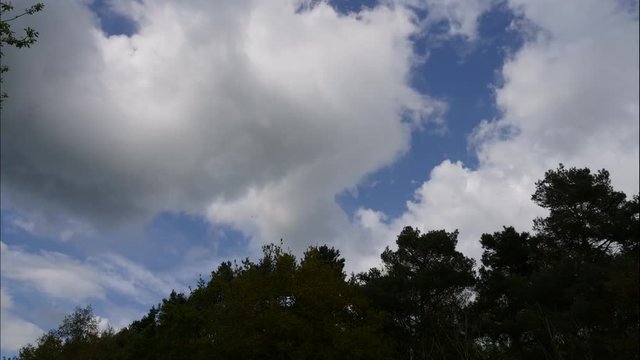 time-lapse clouds with trees