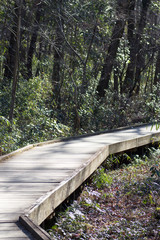 Wooden trail beside a brook