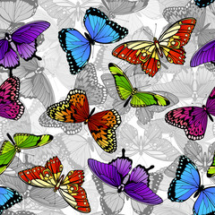 Naklejki  Motyl bezszwowe tło wzór