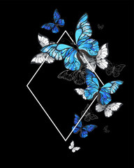 Rhombus butterfly morpho