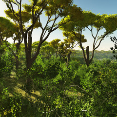 Bush trees in Australia 3d rendering