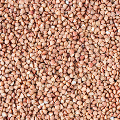 buckwheat grains background