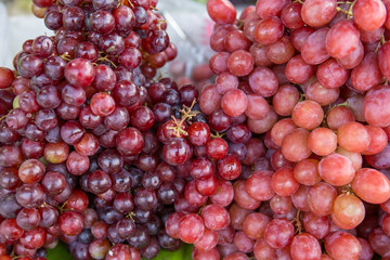 Red wine grapes background dark grapes blue grapes Red Grape Cardinal Grape Emperor Grape