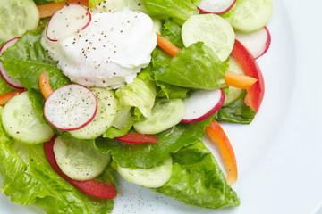 fresh salad