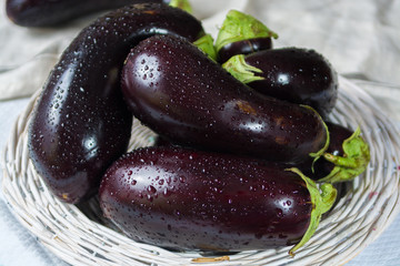 Ripe violet eggplants on the white wicker plate  - harvest
