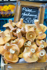 Close-up of fresh pine mushrooms in local farmers market