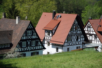 Häuser in Sasbachwalden