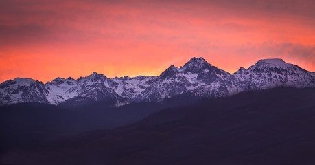 La belledone au lever du soleil 