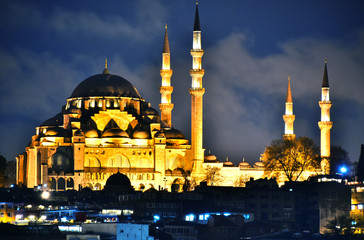 Fototapeta na wymiar View on the Third Hill of Istanbul with Suleymaniye Mosque