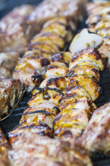Grillspiesse