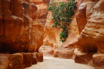 Petra, Jordan