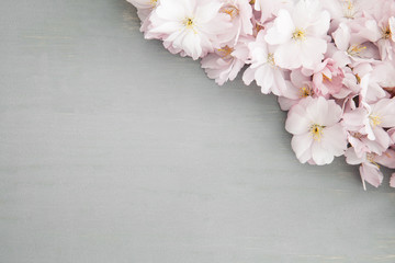 Naklejka na ściany i meble Spring flower background