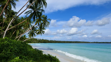 einsamer Traumstrand mit Palmen, weißem Sand und blauem Meer auf den Molukken-Inseln