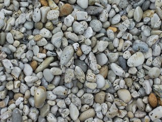 Landscape of elba island 