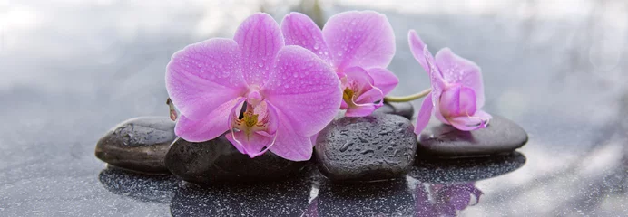 Keuken spatwand met foto Roze orchidee en zwarte stenen close-up. © Swetlana Wall